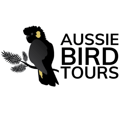 Aussie Bird Tours