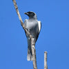 Royal National Park Tour