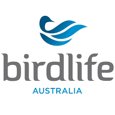 best bird watching tours australia